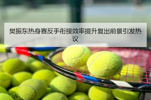 樊振东热身赛反手衔接效率提升复出前景引发热议